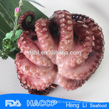 Healthy octopus whole cleaned
